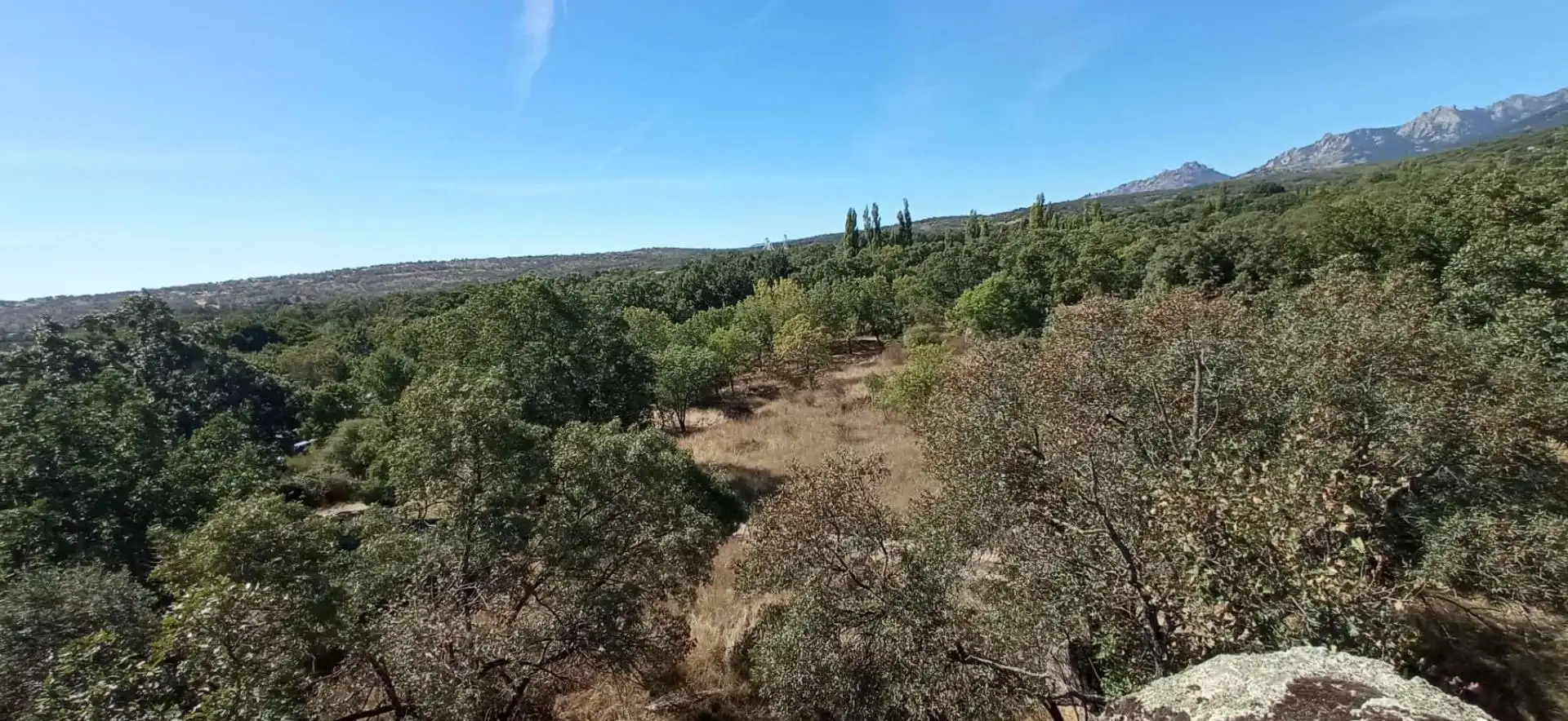 Terreno rustico in vendita a Miraflores de la Sierra