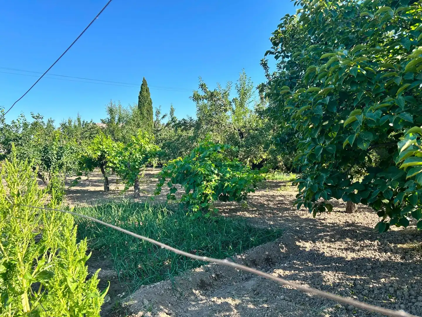Terreni e lotti in vendita a Atarfe, imagen 16