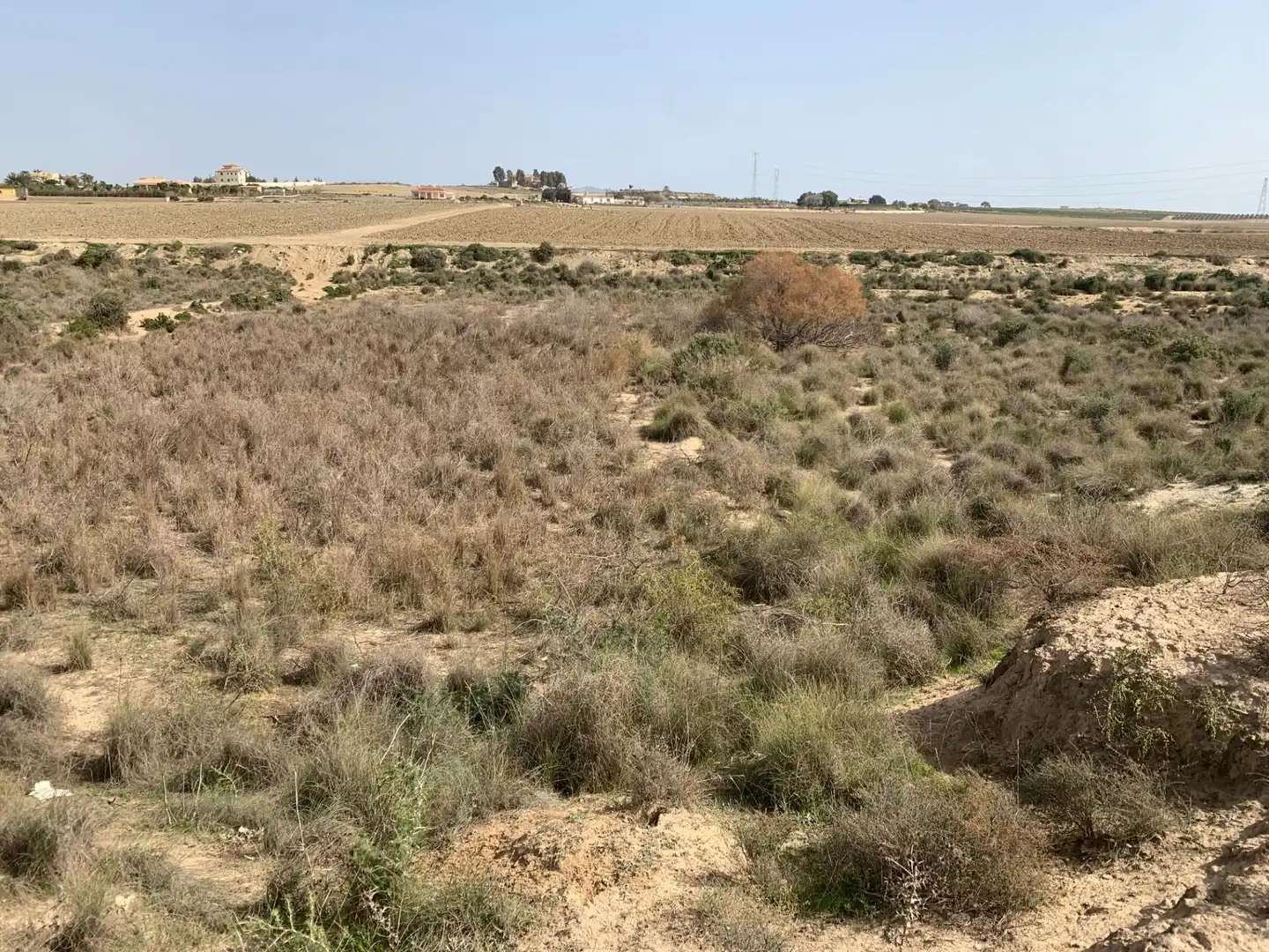 Finca rústica en venda en Vera