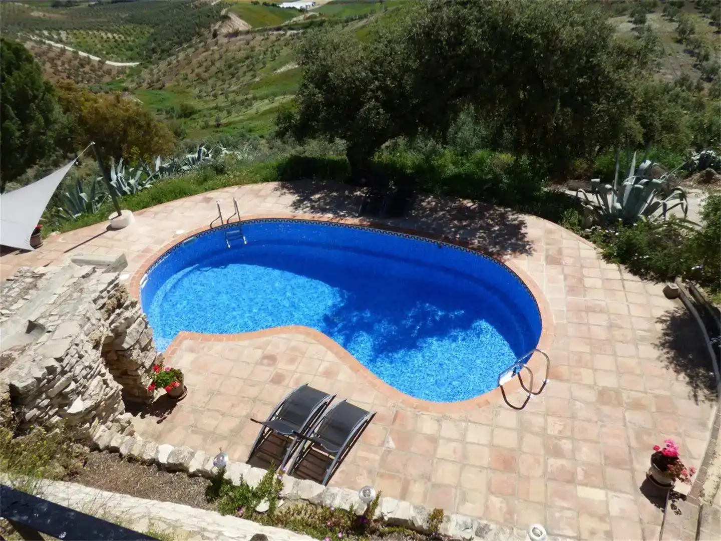 Piscina de Finca rústica en venta en Algámitas con Aire acondicionado, Jardín privado y Piscina