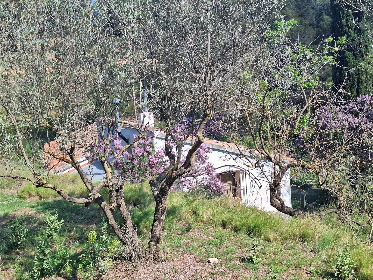 Jardín de Finca rústica en venta en Alcoy / Alcoi con Trastero y Amueblado