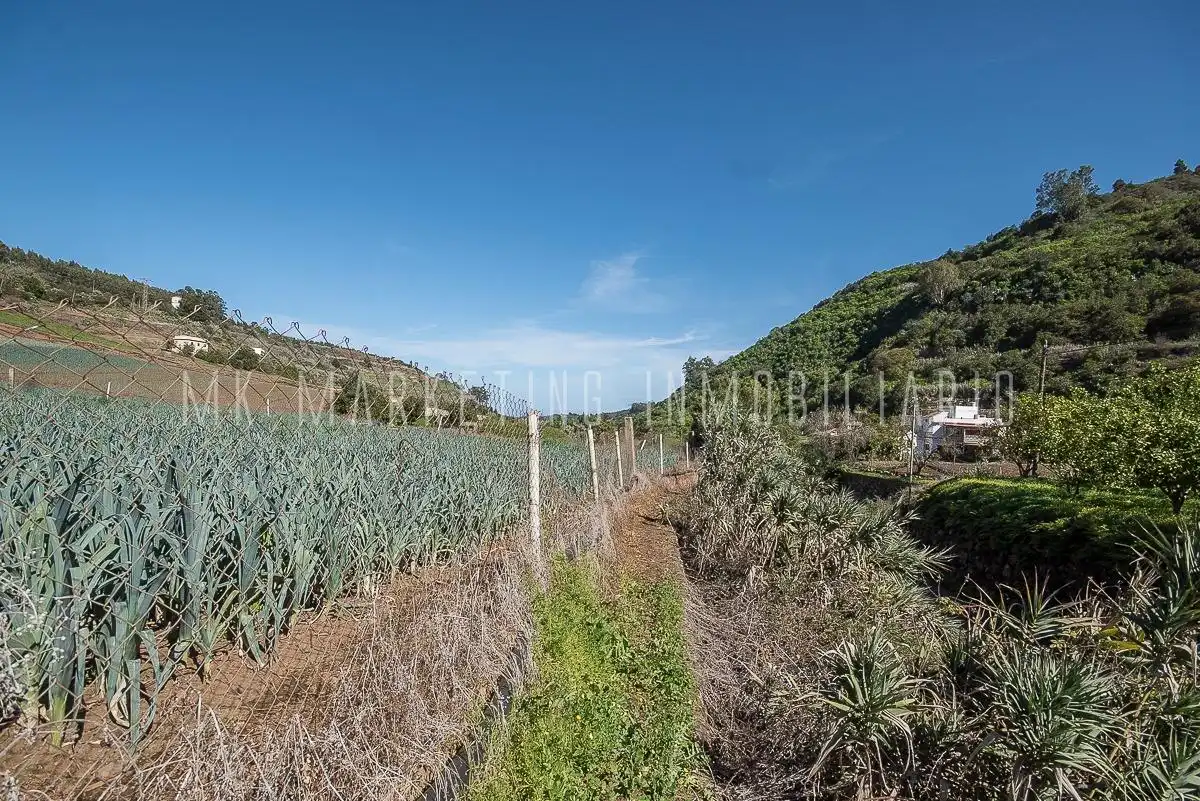 Casa o chalet en venta en Moya (Las Palmas) con Jardín privado, Terraza y Trastero
