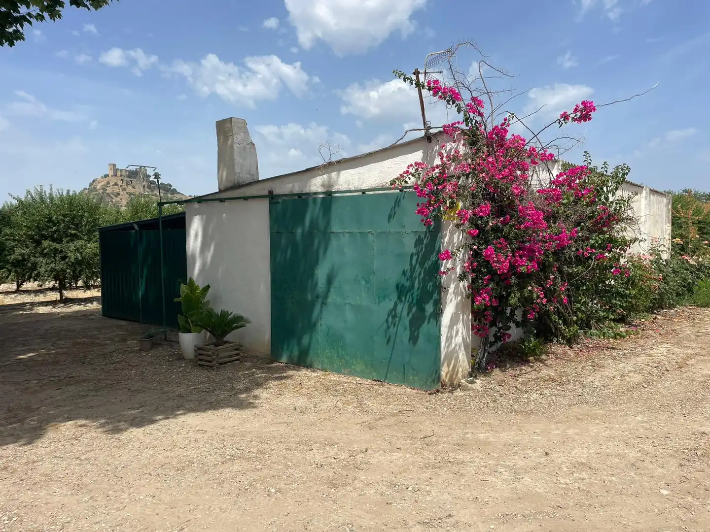 Terreny rústic en venda a Almodóvar del Río, imagen 5