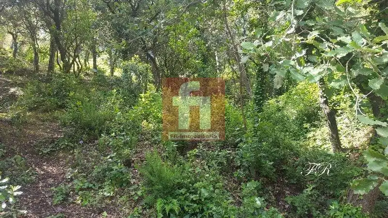 Terrenys i solars en venda a El Racó - Sant Feliu del Racó, imagen 10