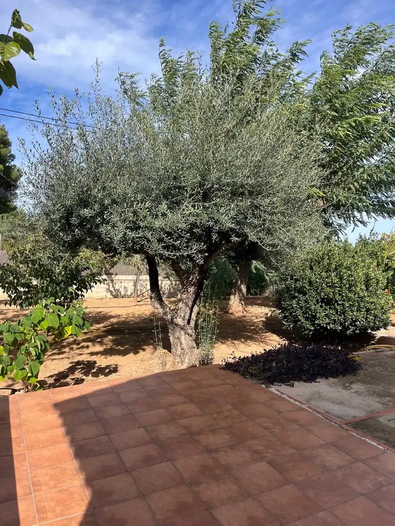 Jardín de Casa o chalet en venta en Llombai con Aire acondicionado, Calefacción y Terraza