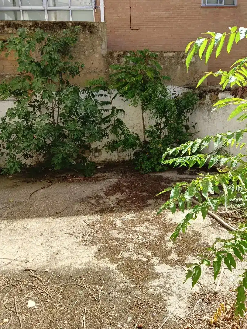 Casa o chalet en venta en Tardienta con Balcón
