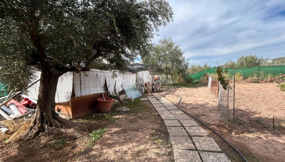 Foto 1 de Finca rústica en venda a Peligros, Granada