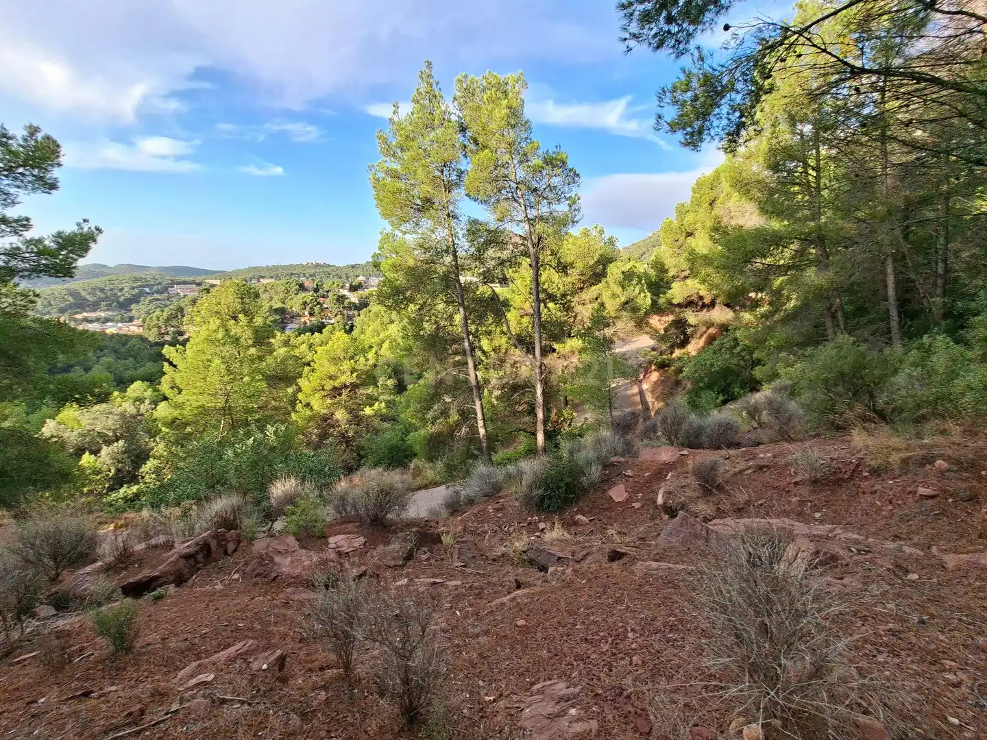 Wohnbaugrundstück zum Verkauf in 46118 Serra, Spain, imagen 15