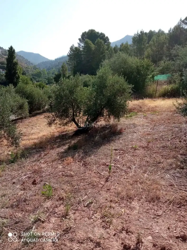 Terreni e lotti in vendita a Calle U.A.4 51X