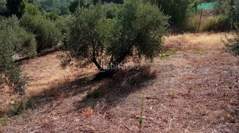 Finca en venta orcera(jaén)