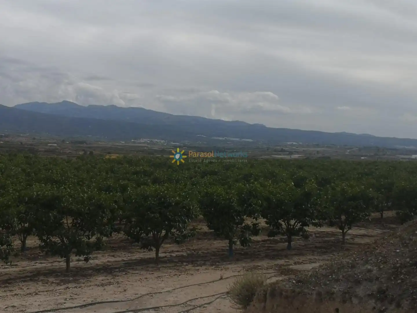 Rural land for sale in Benigànim