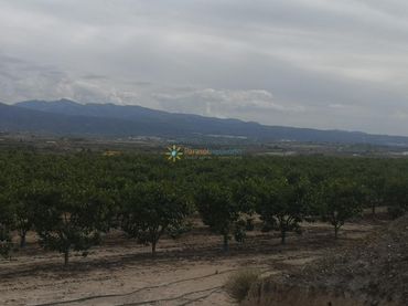 Terreno rustico in vendita a Benigànim