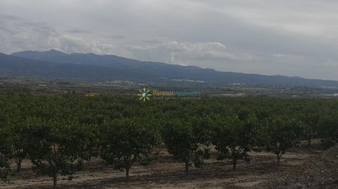 Terreno con casita a la venta en Beniganim