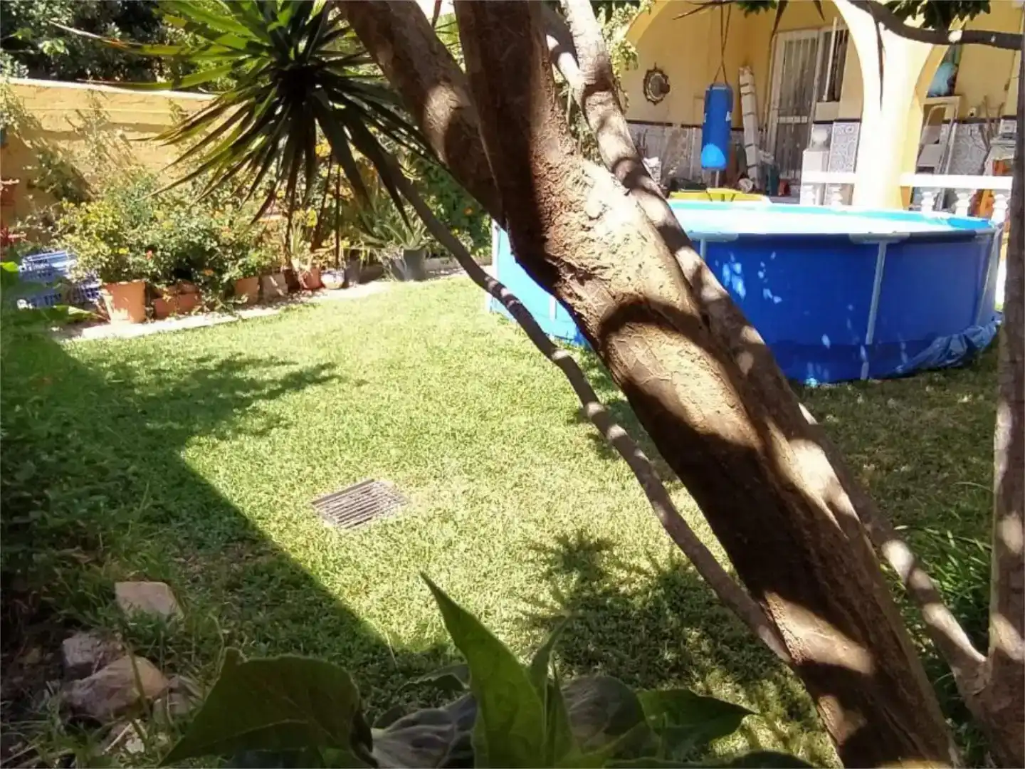 Piscina de Casa o chalet en venta en El Zabal - Santa Margarita