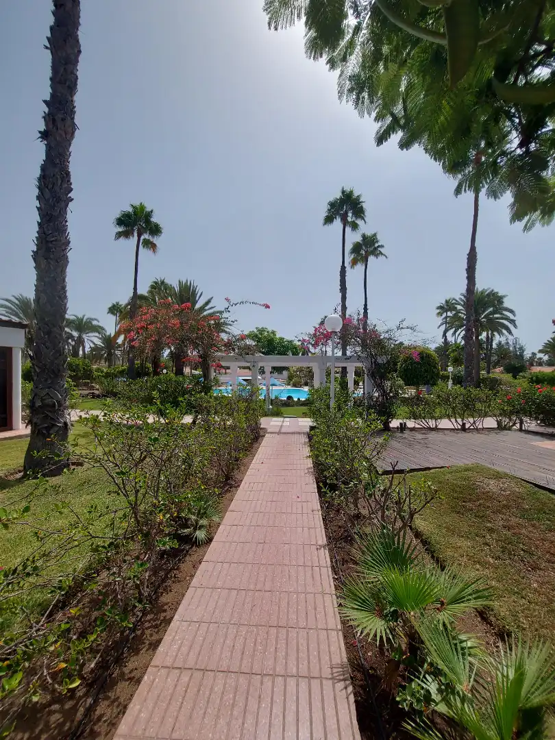 Casa o xalet en venda a Avenida Touroperador Tjaereborg, 59, Maspalomas - Meloneras