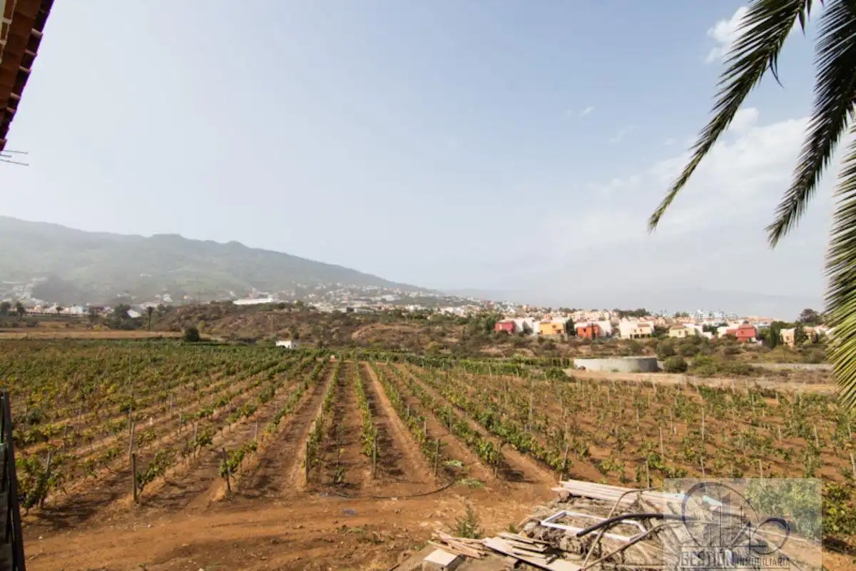 Finca rústica en venda en Santa Úrsula amb Terrassa i Balcó