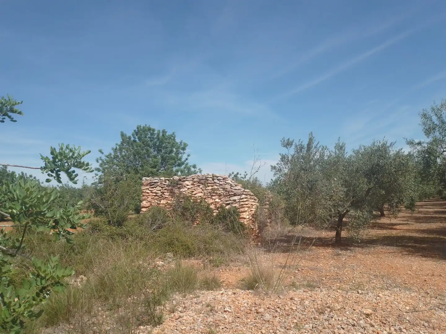 Terreny rústic en venda a Càlig, imagen 3