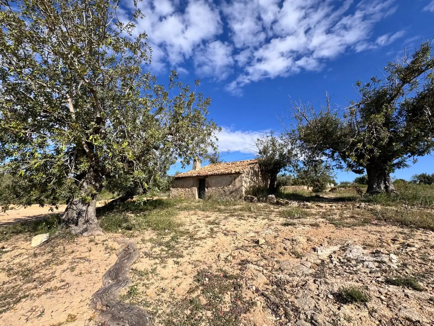 Land for sale in Polígono 26 Parcela 21 CASA BLANCA-BARBETA. TORRE, 26, Poligono Mas del Jutge