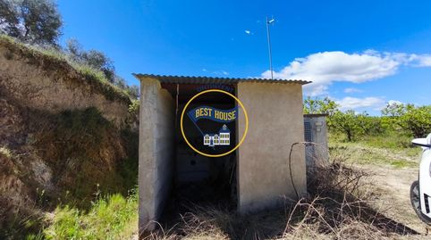 LOTE DE PARCELAS DE TERRENO EN PRODUCCIÓN DE FRUTALES CON 54.441m2 A SU DISPOSICIÓN EN AGULENT, immagine 2