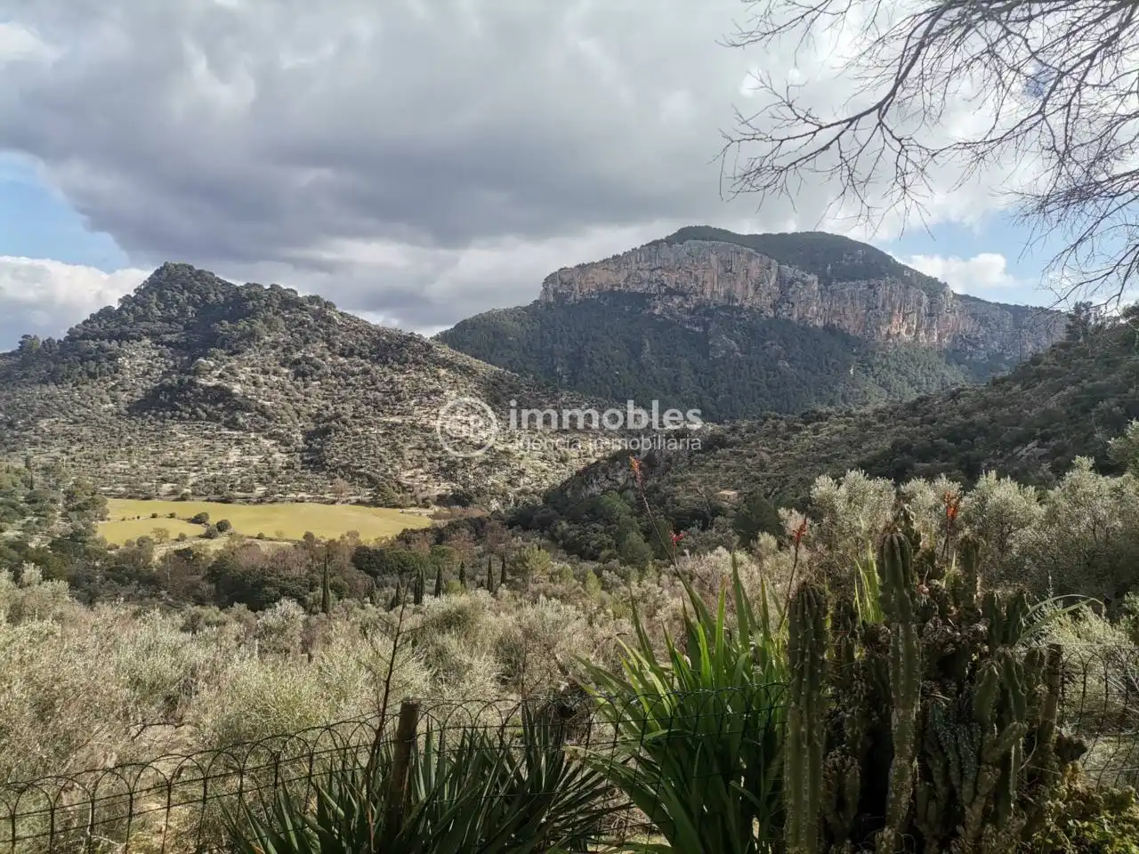 Terreny rústic en venda a Bunyola