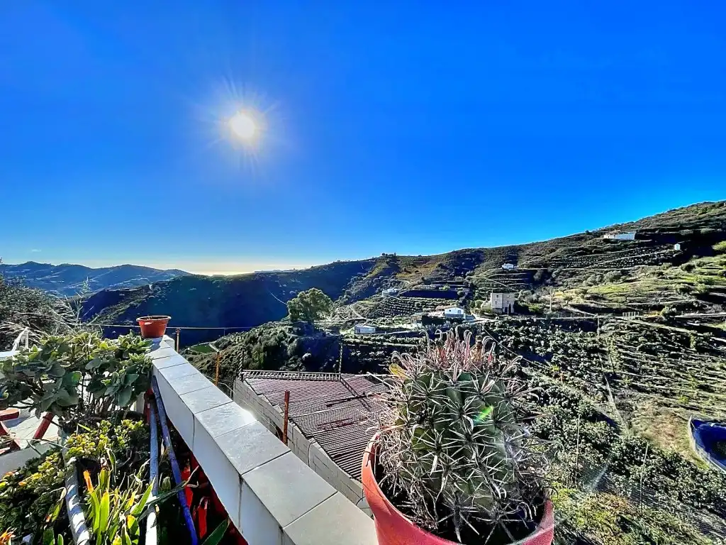 Vista exterior de Finca rústica en venta en Macharaviaya con Jardín privado, Terraza y Amueblado