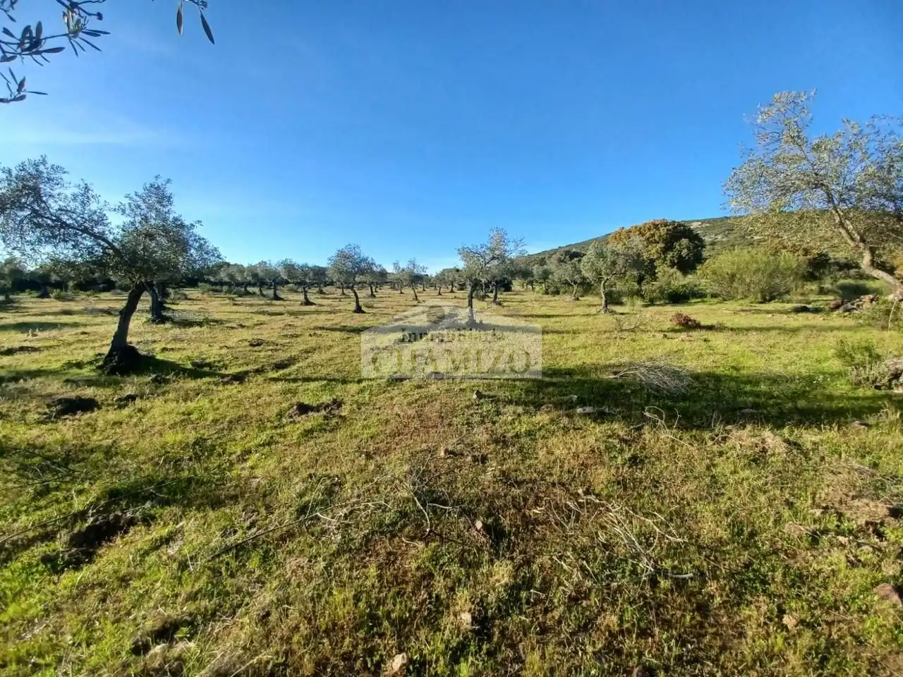 Grundstücke zum Verkauf in Peraleda del Zaucejo