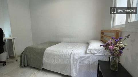 Foto 3 de Pis per a compartir a Feria, Sevilla