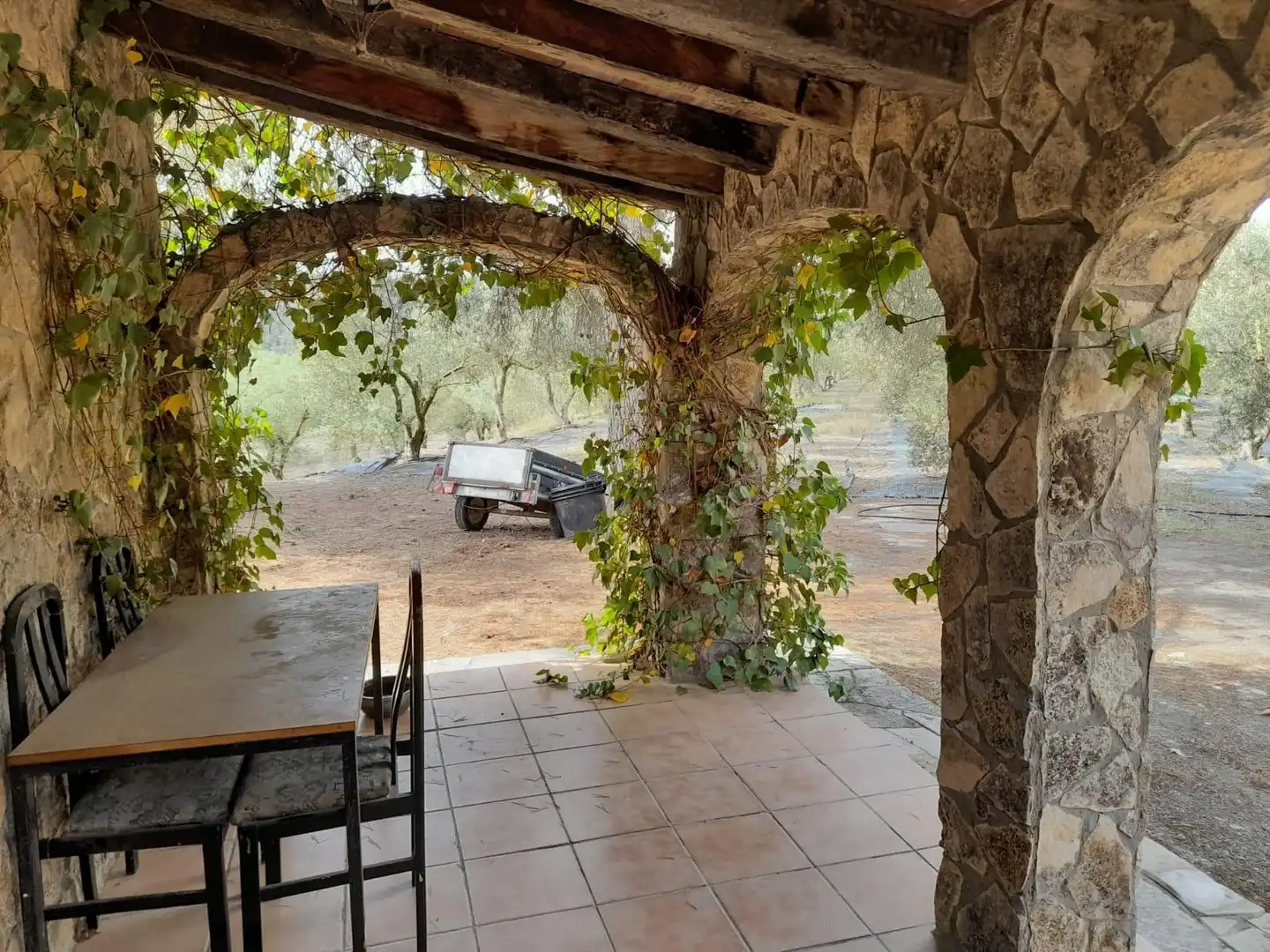 Terreno rústico en venta en Ascó, imagen 5