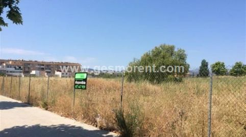 Foto 2 de Residencial de lloguer a Son Cladera, Palma de Mallorca