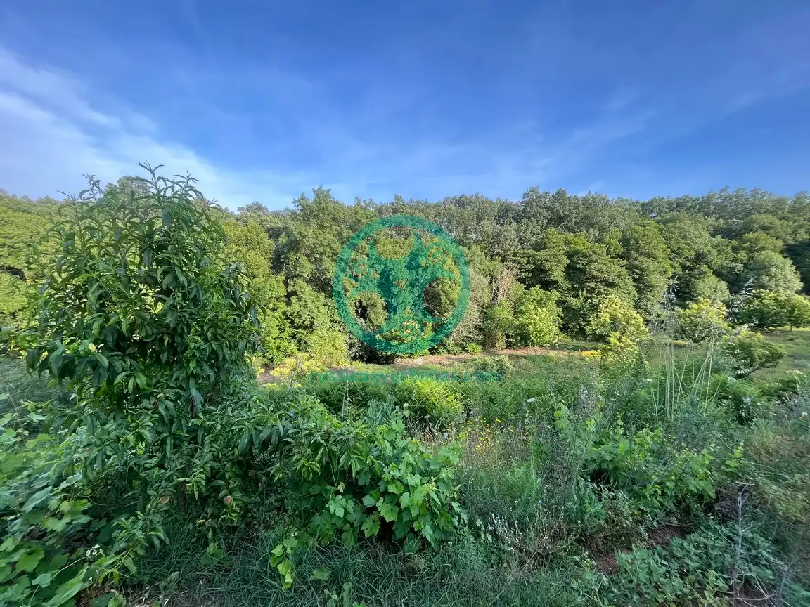 Terreni e lotti in vendita a Garganta la Olla, imagen 11