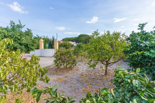 Finca rústica en Venta en Camino del Madroño en Bonares