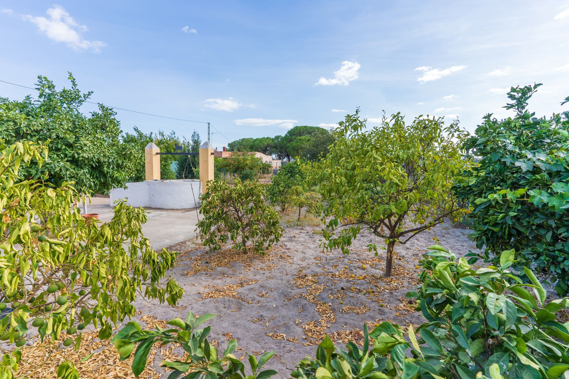 Finca rústica en venda en Bonares amb Aire condicionat, Jardí privat i Terrassa
