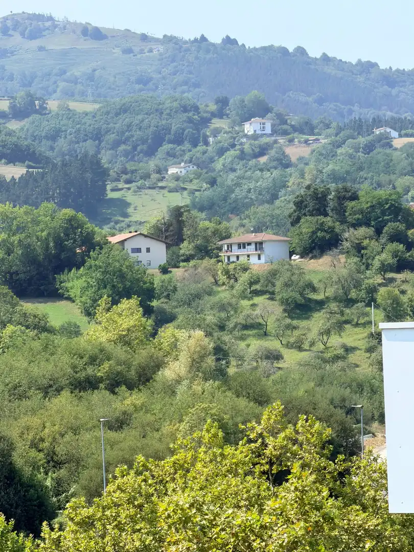Appartamento con ascensore in vendita a INDAMENDI KALEA, imagen 29