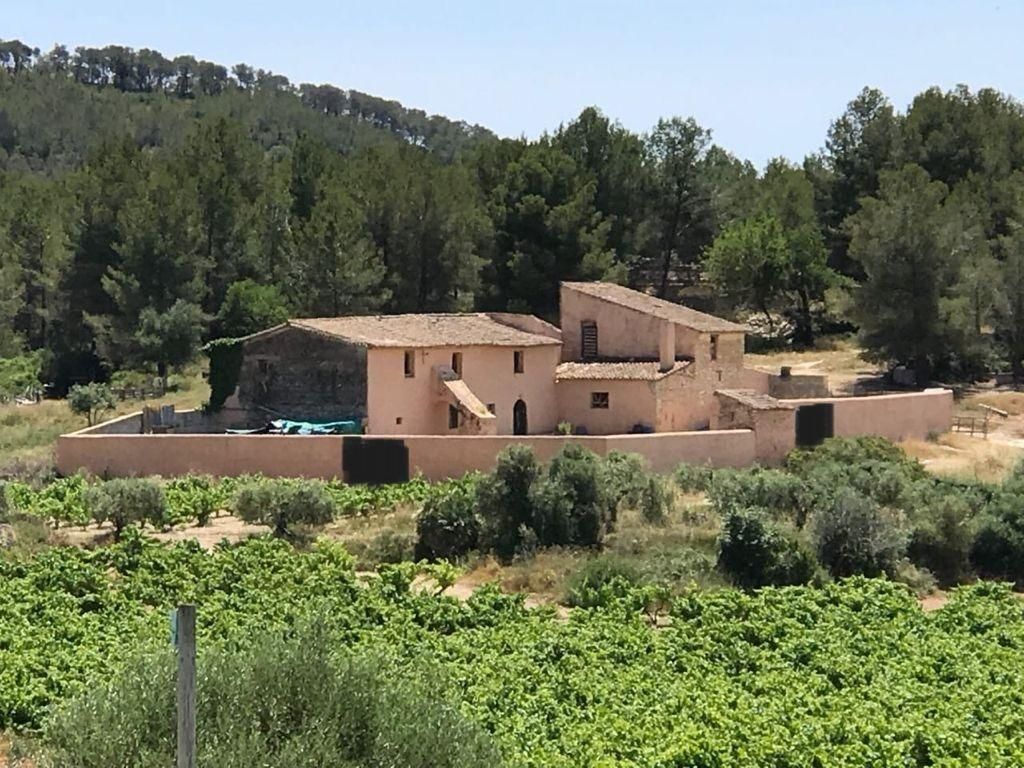 Vista exterior de Finca rústica en venda en Sant Pere de Ribes