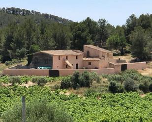 Vista exterior de Finca rústica en venda en Sant Pere de Ribes