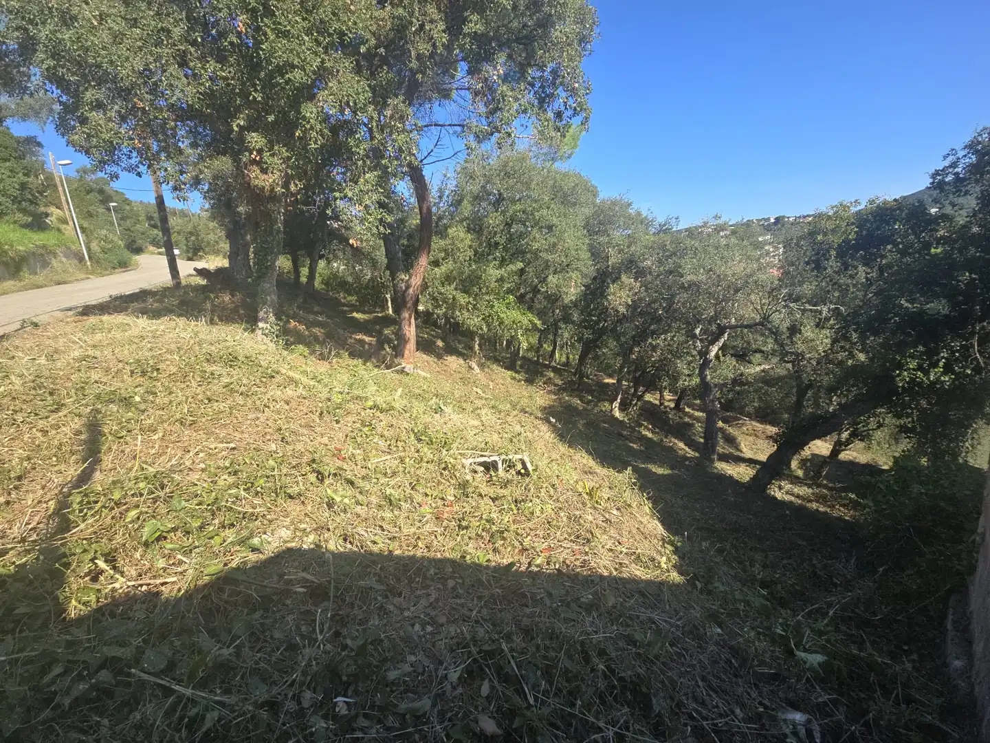 Lands and plots for sale in Olivera