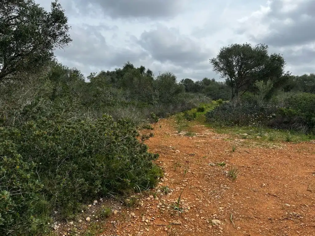 Finca rústica en venta en Campos