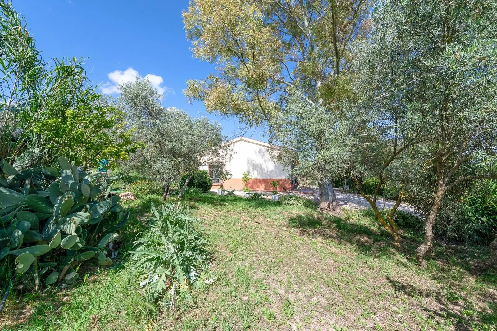 Casa rústica con jardín en venta en Villanueva del Trabuco, imagen 40
