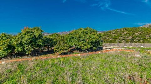 Photo 2 of Residential for sale in Torrox Park, Torrox