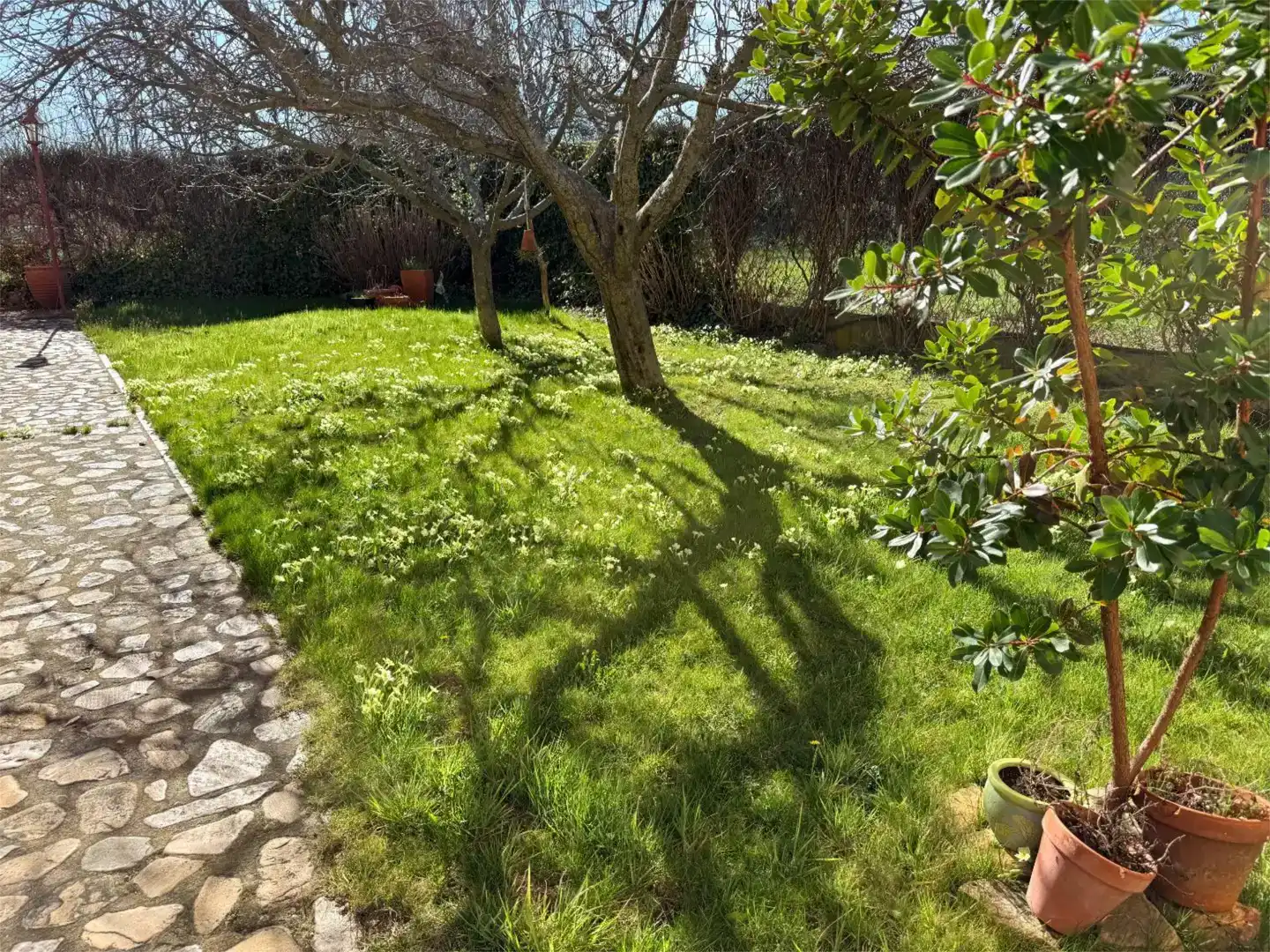 Jardín de Casa o chalet en venta en Luyego con Balcón