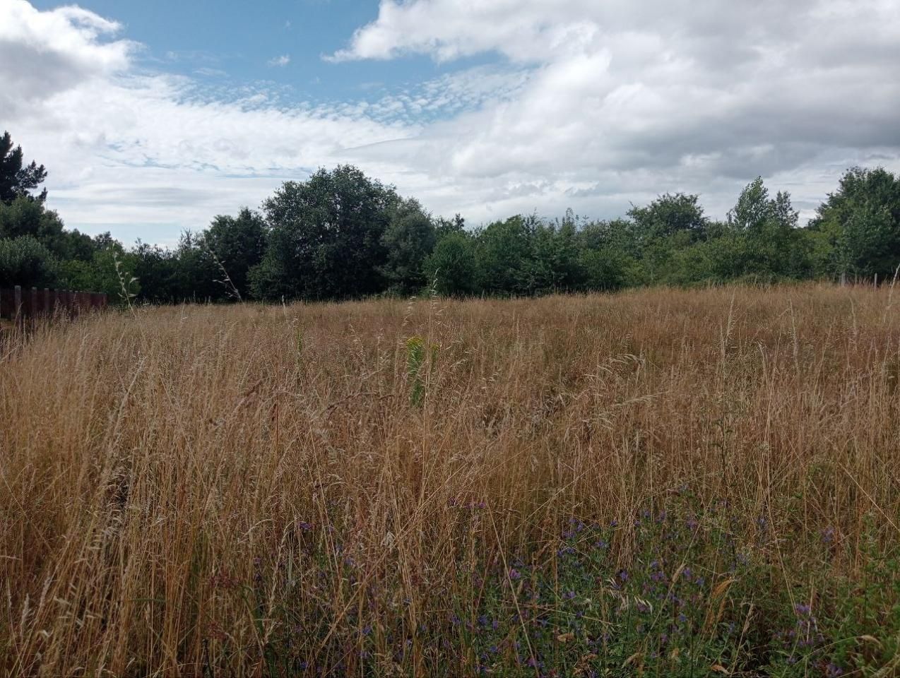 Residential for sale in Sarreaus