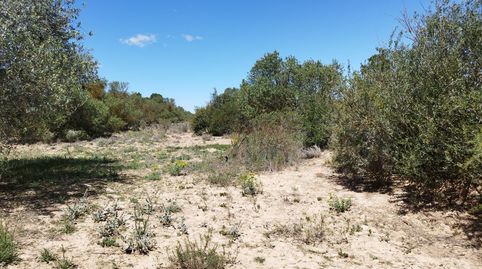 Photo 4 of Country homes for sale in Llardecans, Lleida