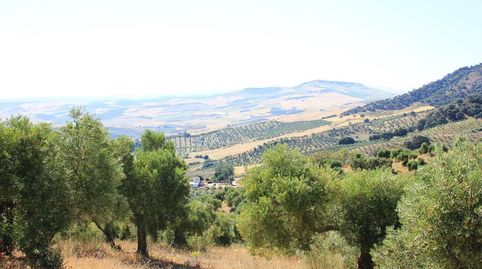 Photo 3 of Country homes for sale in Monjas. Montecorto, Partidas Norte, Ronda