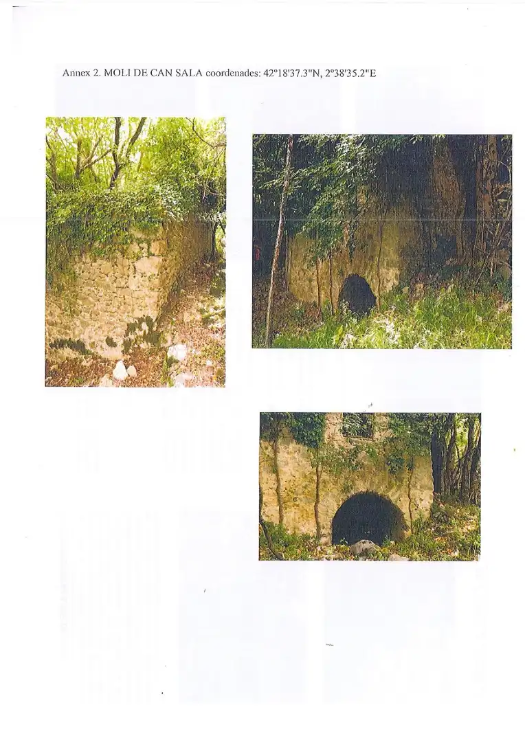 Vista exterior de Finca rústica en venta en Albanyà con Jardín privado, Terraza y Trastero