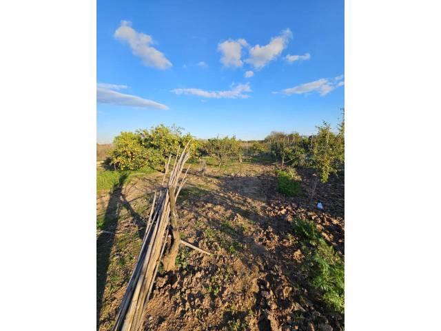 Casa-chalet en Venta en Zona Avenida del Mar