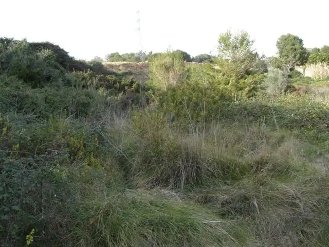 Rustikales Grundstück zum Verkauf in Nord, imagen 3