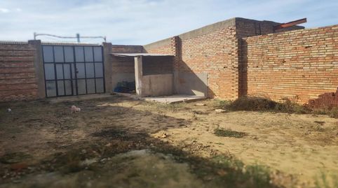 Foto 3 de Finca rústica en venta en Calle Acebuche, 5, La Palma del Condado, Huelva