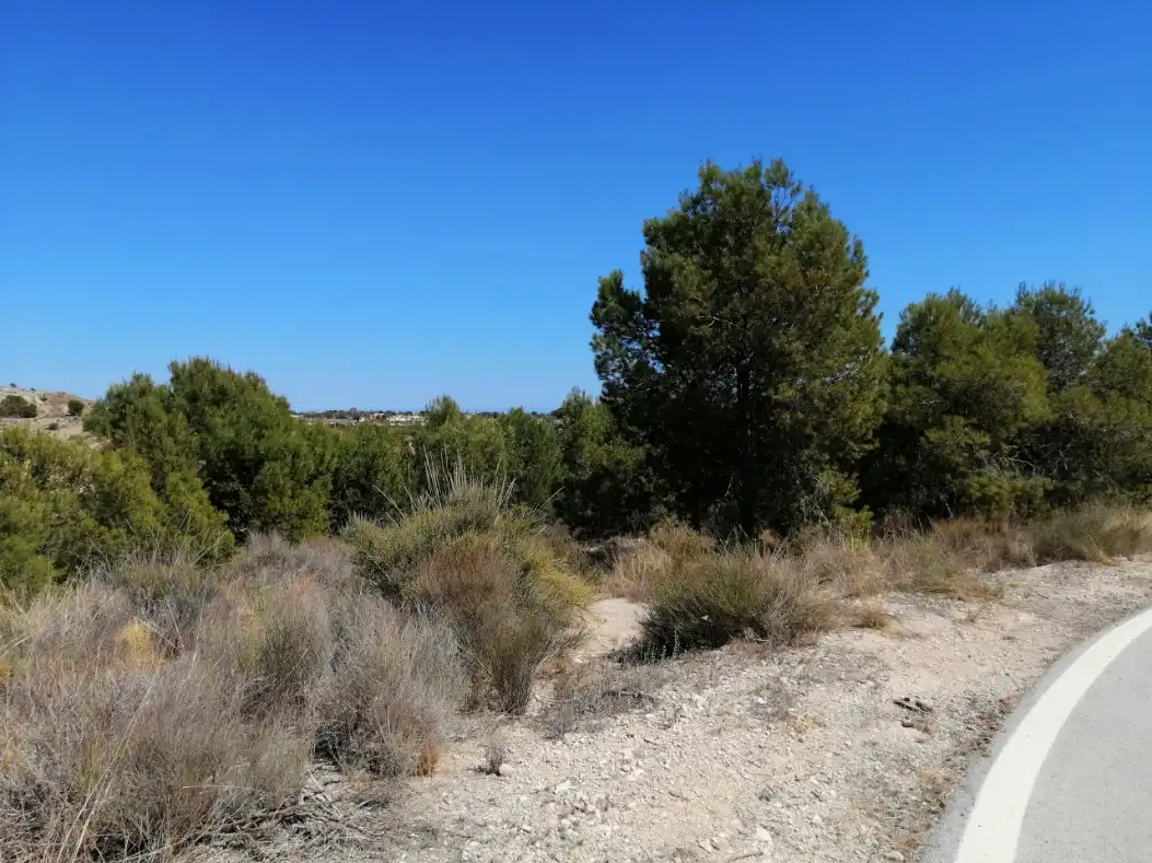 Terreno residencial en venta en Calle Cobre-Garroferal, imagen 5