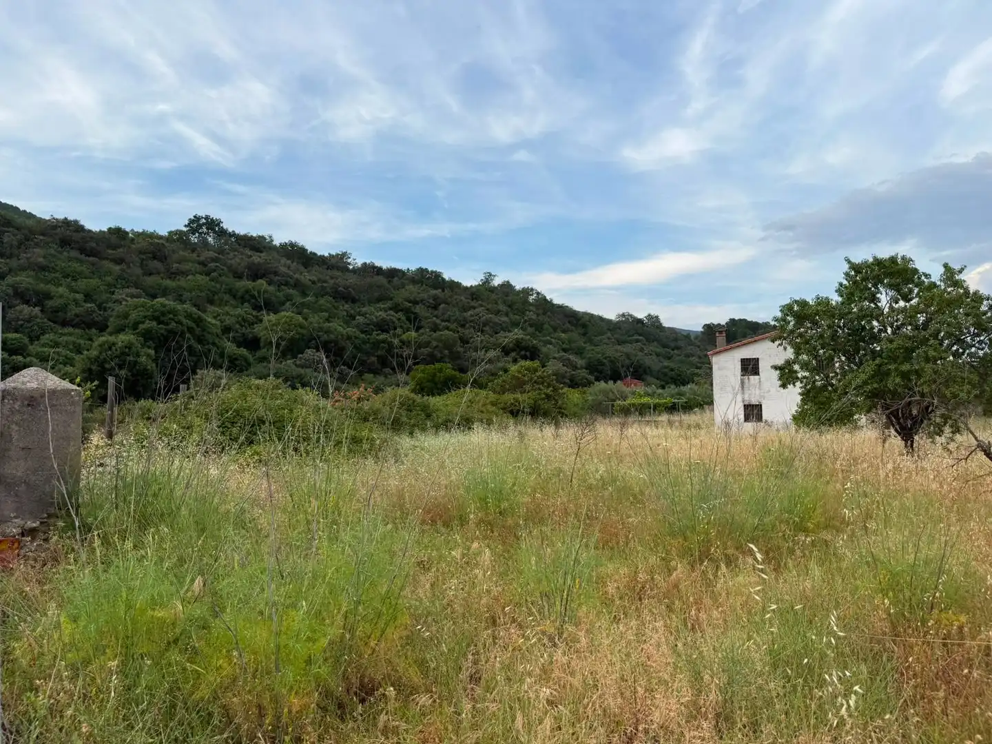 Terreni e lotti in vendita a Candeleda, imagen 11