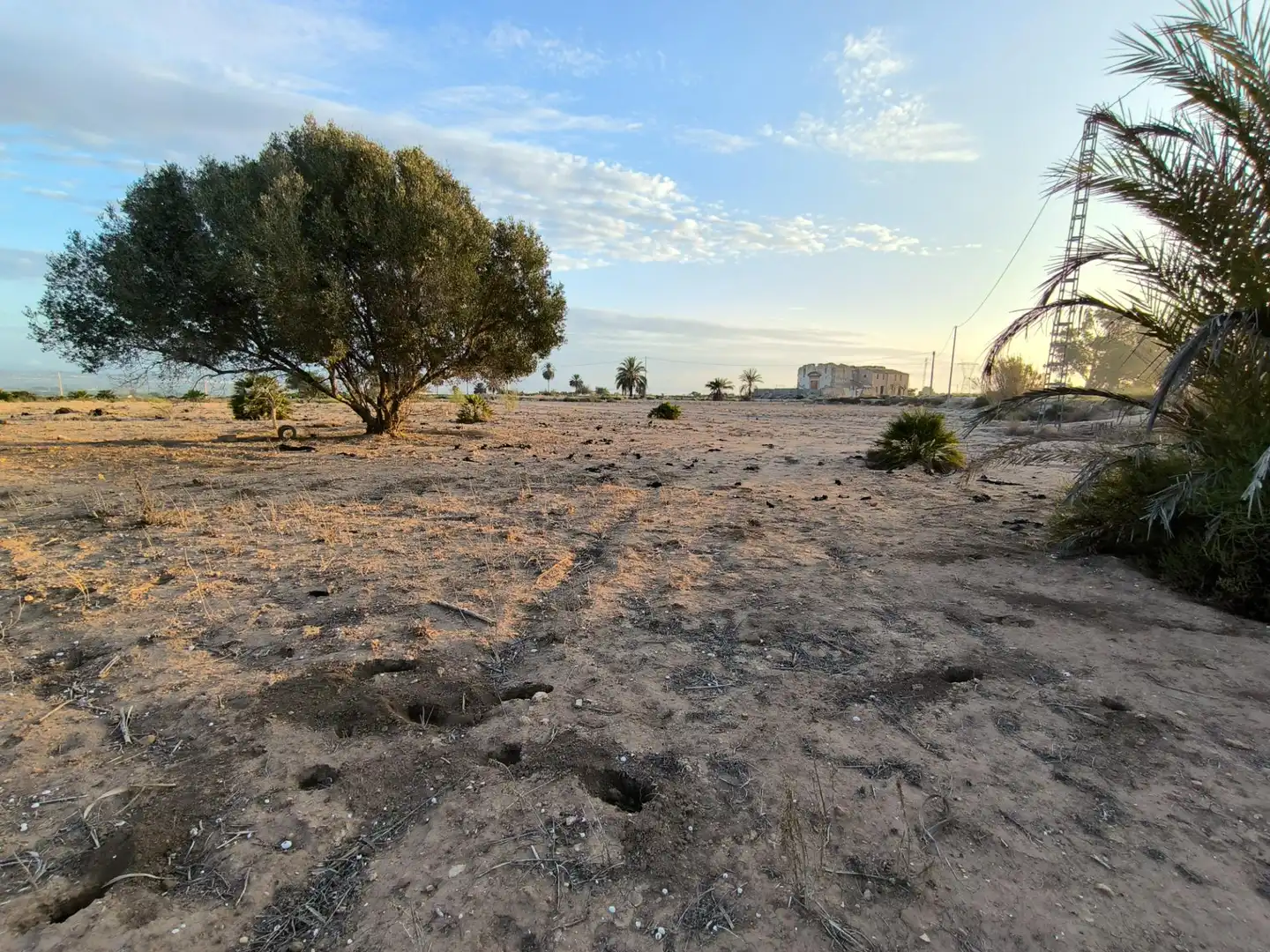 Terrain rustique à vendre à La Marina, imagen 31